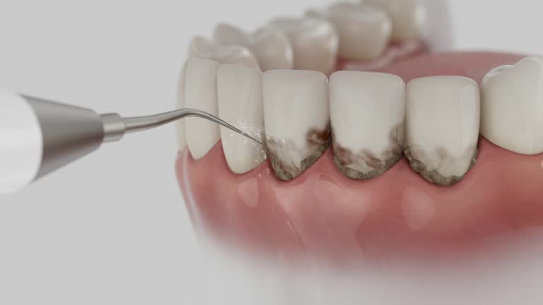 Reliable Dental contractor in Coles County County, IL by Dentist Open Now